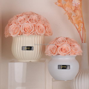 Composizione Personalizzata a Forma di Fungo con Rosa Eterna Preservata <span class=keywords><strong>in</strong></span> <span class=keywords><strong>Vaso</strong></span> per Decorazione Casa - Product Image 4