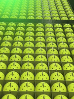Balles de pickleball durables à 40 trous, balles de pickleball pour sports de plein air, norme USAPA, balles en plastique LDPE, balles de rotation de qualité X-40