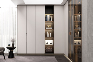 Armadio ad <span class=keywords><strong>angolo</strong></span> a forma di <span class=keywords><strong>L</strong></span>: porte in materiale misto, scaffalature aperte retroilluminate, nicchia di vanità integrata, moderna conservazione funzionale - Product Image 6