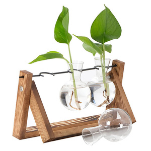 Estaciones de Propagación de Plantas de Escritorio, Terrario con Soporte de Madera, Regalo para Amantes de las Plantas, Macetas de Vidrio para Decoración de Bodas - Product Image 1