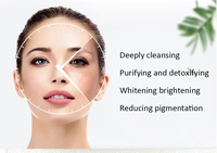 Masque facial purifiant et détoxifiant pour la peau aux herbes chinoises de salon de spa de beauté OEM Masque de soin du visage crème 100% bio blanchissant