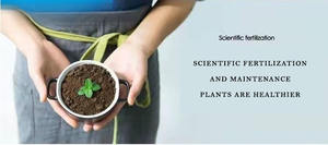 Fertilizante Compuesto Granular Soluble de Alta Calidad, 90% Orgánico, NPK 18-18-18, Liberación Rápida, Eficaz para Uso Agrícola - Product Image 6