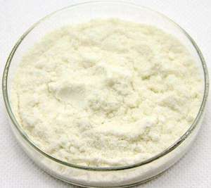 Premium Kreatin Mono hydrat Pulver OEM Factory Direct Adult Fitness Protein Supplement Kräuter ergänzungen verbessern die Immunität - Product Image 2