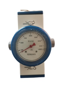 Controlador de Flujo Mecánico Krohne Modelo DW182, Interruptor de Flujo Mecánico DW182, Interruptor de Flujo Mecánico de Acero Inoxidable DW182 - Product Image 6