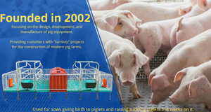 Hệ Thống Chuồng Trại Cho Lợn - Product Image 6