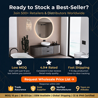 Miroir de maquillage intelligent LED rétroéclairé étanche OEM ODM en gros, miroir de salle de bain intelligent à écran tactile