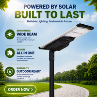 Lampadaire solaire LED monocristallin en aluminium haute efficacité 60W pour extérieur, personnalisable en usine pour villes intelligentes, indice de protection IP66