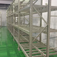 Sistema de Estanterías Mecánicas de Acero de Alta Resistencia para Almacenamiento, con Tránsito Automático de Materiales y Capacidad para Paletas de 2000 kg
