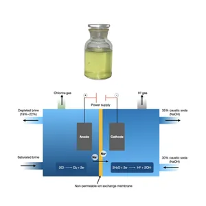 Une usine de chlore alcali est l'électrolyse du chlorure de sodium (sel) pour produire du chlore et de l'hydroxyde de sodium (soude caustique)