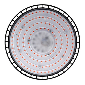 Luminaria LED de Alta Potencia para Horticultura, con Clasificación IP65, de 100-200W, Amplio Rango de Voltaje, para Instalaciones de Cultivo Comercial - Product Image 4