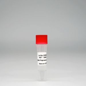 <span class=keywords><strong>PCR</strong></span> héroe maestro piensos compuestos que contienen Taq enzima adn polimerasa mezcla sistema de <span class=keywords><strong>PCR</strong></span> Kits - Product Image 3
