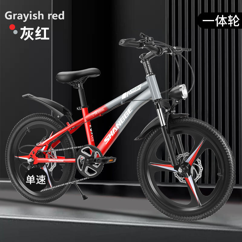 Grayish-red (variable-speed spoked wheel)