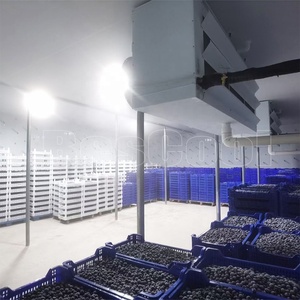 Bescool 4*3*3m đi bộ trong tủ đông 100mm PU Bảng điều chỉnh sử dụng phòng lạnh đơn vị lưu trữ tủ lạnh <span class=keywords><strong>container</strong></span> cho nhà máy sản xuất - Product Image 5