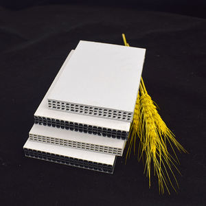 Modern Style 12mm & 20mm PP Plastic Slab Factory Hot Sale Construction <b>Formwork</b> for Concrete Walls - Product Image 1
