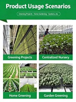 Barquettes de semis en PET noires de 120g, profondes, non toxiques et inodores, réutilisables, robustes, pour serres et légumes.