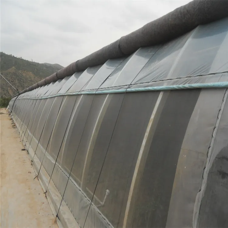 Couette solaire passif avec Tunnel simple, noir, favorise la conservation de la chaleur hiver, à bas prix, pour serre solaire commerciale