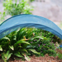 Serre de jardin pliable 300x180cm avec filet en maille et structure en fil d'acier pour la protection des plantes et légumes en extérieur