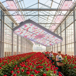 IP67 Waterproof PPE 2.7 800w Top Lighting Grow <b>Lights</b> with Secondary Optical Design for Outdoor Farms Rose Flower Growing - Product Image 1