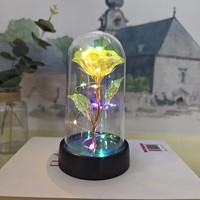 Meilleure Vente 2026 : Boîte à Bijoux Moderne en Plastique avec Rose Artificielle en Feuille d'Or et Éclairage LED Fait Main, Accessoire pour la Saint-Valentin/Fête des Mères