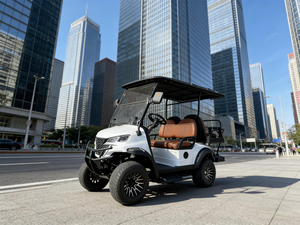 Voiturette de golf électrique compacte 4 places, vente en gros directe du fabricant, certifiée DOT CE GCC EEC pour les routes non publiques - Product Image 1