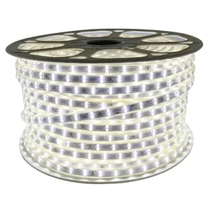 מתח גבוה led רצועת 100m/roll led רצועת אור 220-240v 220v led הרצועה