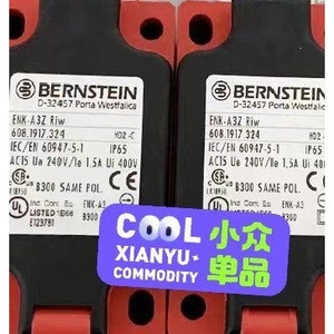 Interruptor de Límite de Recorrido Bernstein ENK-A3Z Riw 608.1917 SPDT 24V 1A Alemania - Product Image 1