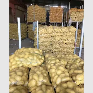 Diskon besar grosir eksportir kentang profesional kentang jumlah besar berkualitas tinggi dengan celah Global & Haccp & Harga Murah siap kirim