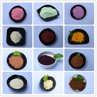 Poudre naturelle Qasil pour les soins de la peau Poudre originale Qasil 80 Mesh Pure Gob Tree Leaves Powder