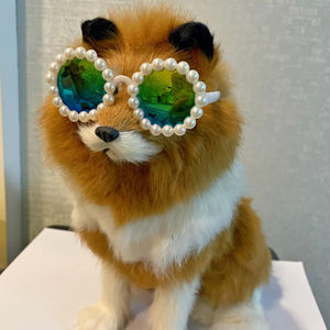 Nouveaux accessoires de gros pour animaux de compagnie : lunettes d'été mignonnes en plastique pour chats et petits chiens, idéales pour les accessoires photo - Product Image 5