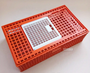 Yeni ve kullanılan 95*55*27cm plastik canlı tavuk tavuk çiftliği kuş hayvan kafesleri için taşıma sandığı tavuk taşıma kafesi - Product Image 4