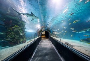 Veilig Gehard Mooie <span class=keywords><strong>Aquarium</strong></span> Glas Lakens Voor Verkoop