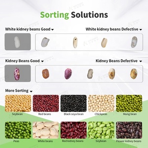 Trung Quốc Trung Quốc số lượng lớn bán buôn màu xanh lá cây đậu xanh chất lượng tốt phong phú trong vitamin 100% màu sắc tự nhiên SORTER phân loại máy - Product Image 2