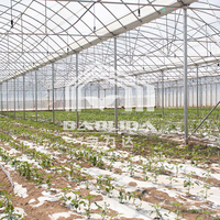 Serre polytunnel, serre de jardin, serre multi-spans, serre de jardinage