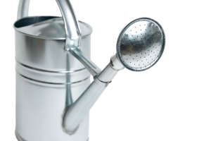 Arrosoir en métal 10L diffuseur d'eau galvanisé pour plantes de jardinage d'intérieur extérieur ovale avec poignée et bec amovible - Product Image 2