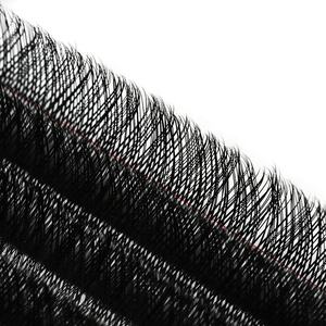Extensions de cils préfabriquées en vrac Super Soft 14D Premium Matériau PBT coréen foncé Boucles cohérentes Cils en éventail de haute qualité - Product Image 3