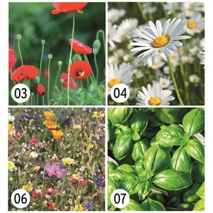 Carte de visite en forme de grain de semence, merchandising durable - Product Image 4