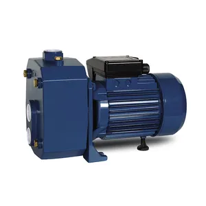 2 Inch 1.5Kw 2Hp Cast Iron Single-Stage Electric Impeller High Pressure Self-Priming Jet Pumps Booster Centrifugal Water Pump