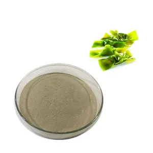ISO شهادة عشب البحر عصير مسحوق البحر مستخلص عشب البحر عشب البحر الأعشاب البحرية استخراج - Product Image 1