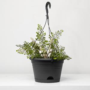 Prix d'usine <span class=keywords><strong>direct</strong></span> grandes jardinières et paniers suspendus Application domestique Masetas Colgantes Para Plantas <span class=keywords><strong>De</strong></span> Plastico - Product Image 6