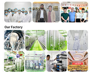 Bán buôn cung cấp thực phẩm Halal cấp độ tinh khiết cao Oyster Peptide bột hòa tan trong nước bổ sung dinh dưỡng 20 kg/túi - Product Image 4