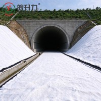 Géogrille de drainage composite 3D en HDPE certifiée ISO pour la base de route et l'empêchement de l'infiltration d'eau capillaire