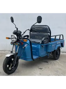 Nuovo arrivo tricicli da carico Trike per azienda agricola veicolo elettrico tre ruote triciclo elettrico