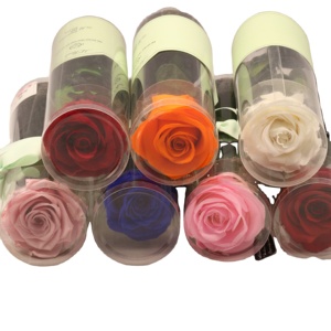 Cadeau d'anniversaire, de Saint-Valentin, de <span class=keywords><strong>la</strong></span> fête des mères, de remise de diplôme, de Noël, de mariage, roses <span class=keywords><strong>éternelle</strong></span>s préservées faites à <span class=keywords><strong>la</strong></span> main, hauteur 20 cm - Product Image 3