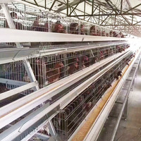 Bas prix un type équipements d'élevage de volaille de cage de poulet de poule pour plus de 50 poulaillers