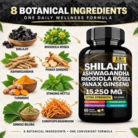 Fabricant de capsules, capsules de Shilajit certifiées Halal GMP, 15250 mg, 8 en 1, Ashwagandha, Rhodiola, Panax Ginseng