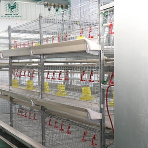 Equipo de cría de aves de corral duradero galvanizado en caliente tipo H nuevo automático batería de pollos de engorde jaula cinturón de limpieza de estiércol <span class=keywords><strong>para</strong></span> - Product Image 2