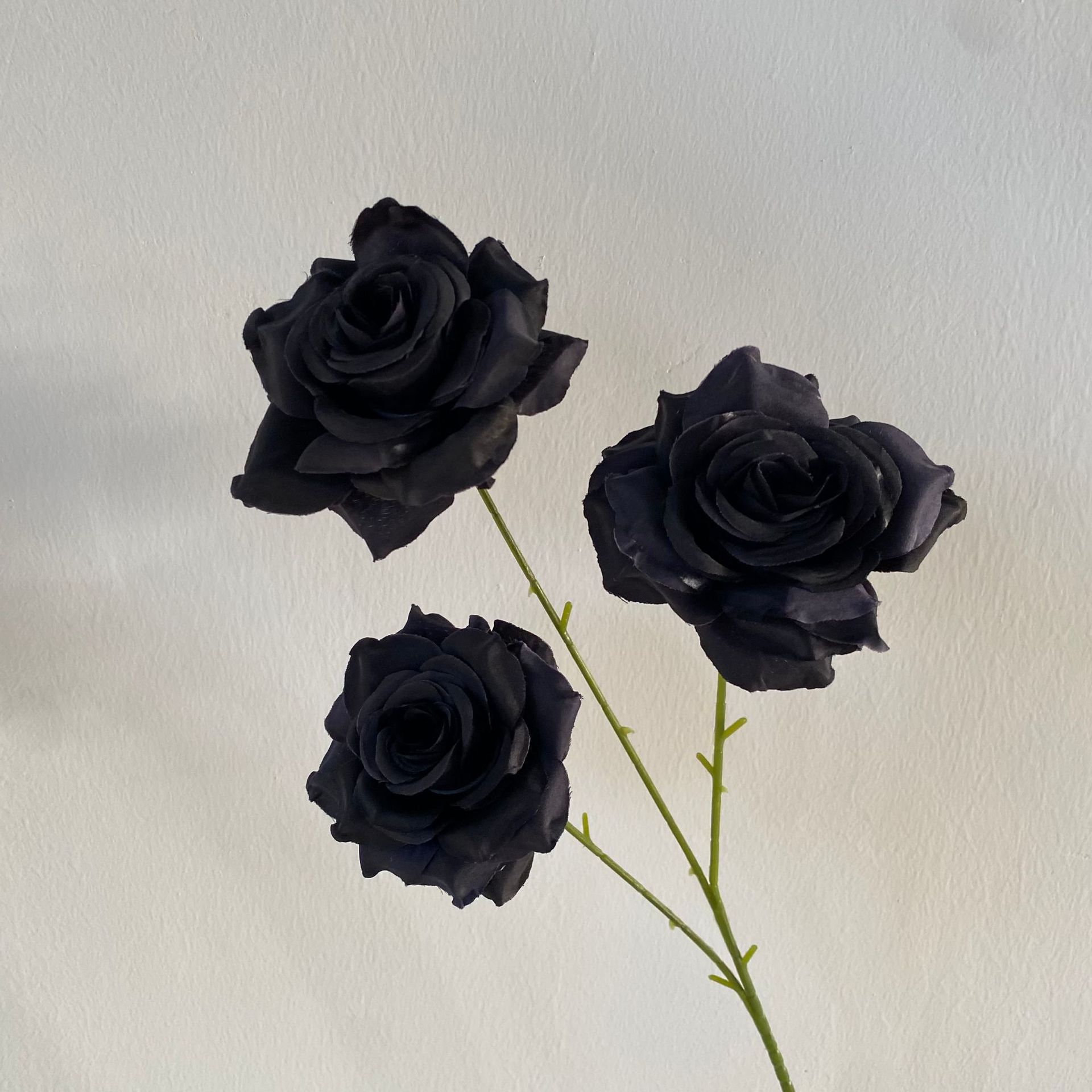 Rose de diamant noir