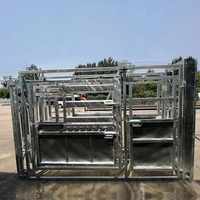 Bétail galvanisé résistant de chute de compression de bétail écrasement de vache avec des échelles équipement de ferme des usines clôturant des treillis et des portes