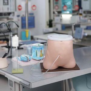 Maniquí de Diálisis Peritoneal de PVC para Entrenamiento de Habilidades Médicas de Enfermería, Recursos de Enseñanza de Suministros Médicos, Modelo de Ciencia Médica - Product Image 3