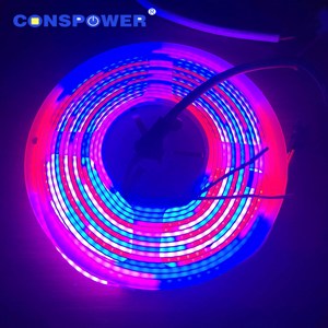 Dải đèn <span class=keywords><strong>LED</strong></span> <span class=keywords><strong>COB</strong></span> RGBWIC điều khiển được, đèn <span class=keywords><strong>LED</strong></span> RGBW IC WS2814 24V, 784 đèn <span class=keywords><strong>LED</strong></span>/m, đèn <span class=keywords><strong>LED</strong></span> dải - Product Image 2